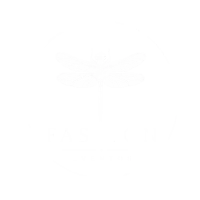 Fashion Eventos